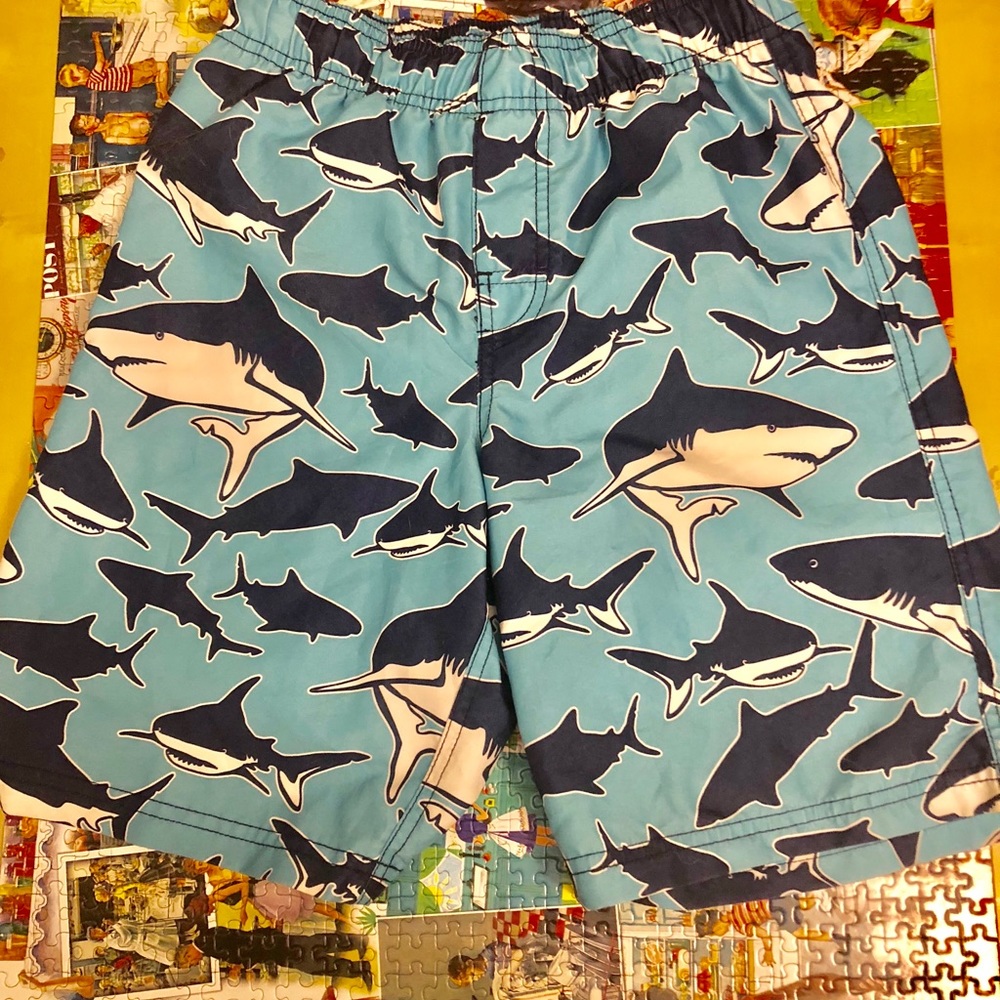 Boys Size 10 swimming shorts and Rash guard